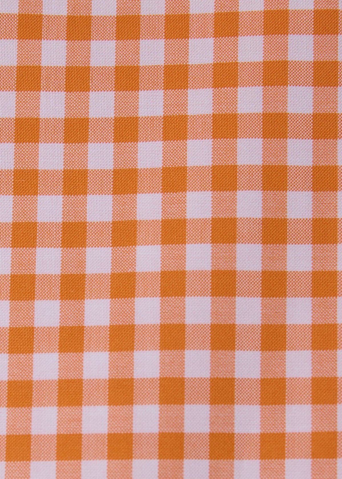Gingham Button Down Shirt Blue - Paul Stuart