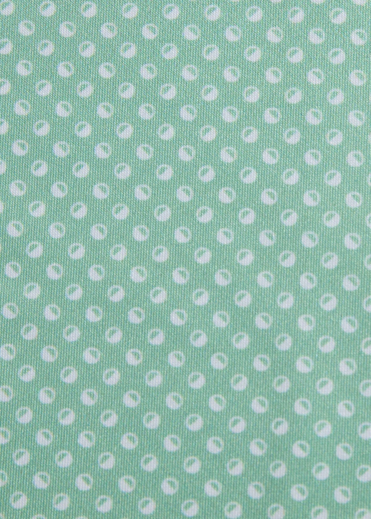 Deco Dot Performance Polo Lilac - Paul Stuart