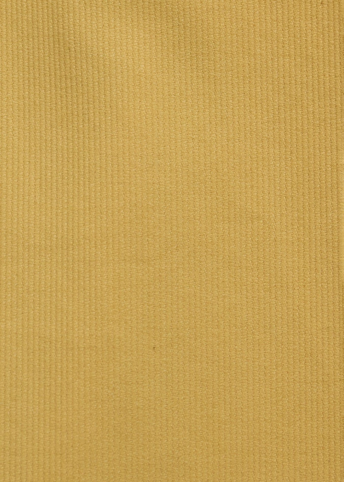 Drawstring Corduroy Pant Grass - Paul Stuart