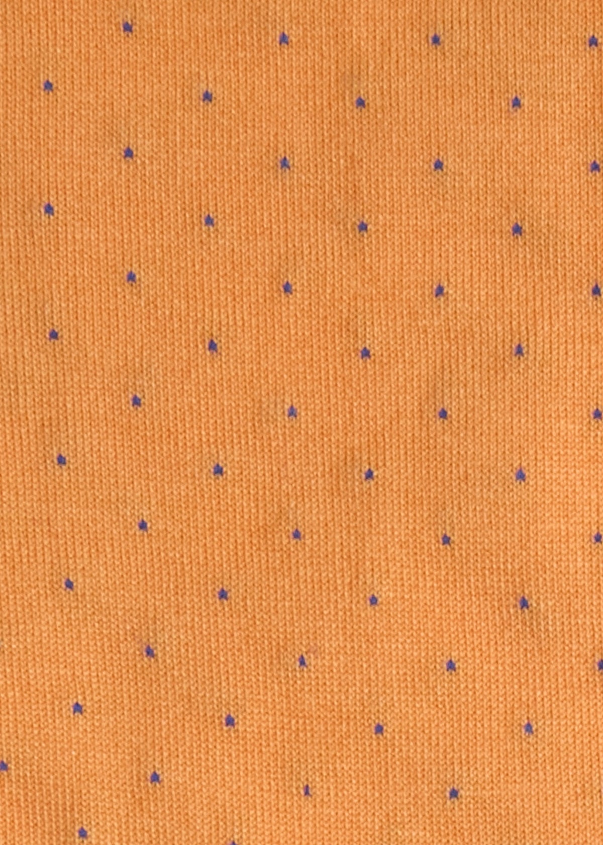 Micro Dot Sock Beige - Paul Stuart