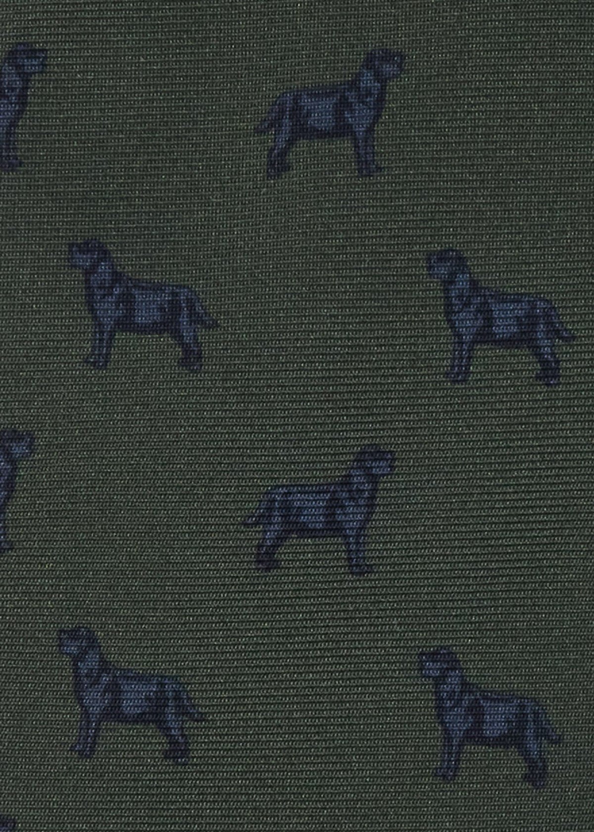 Black Lab Silk Tie Olive - Paul Stuart