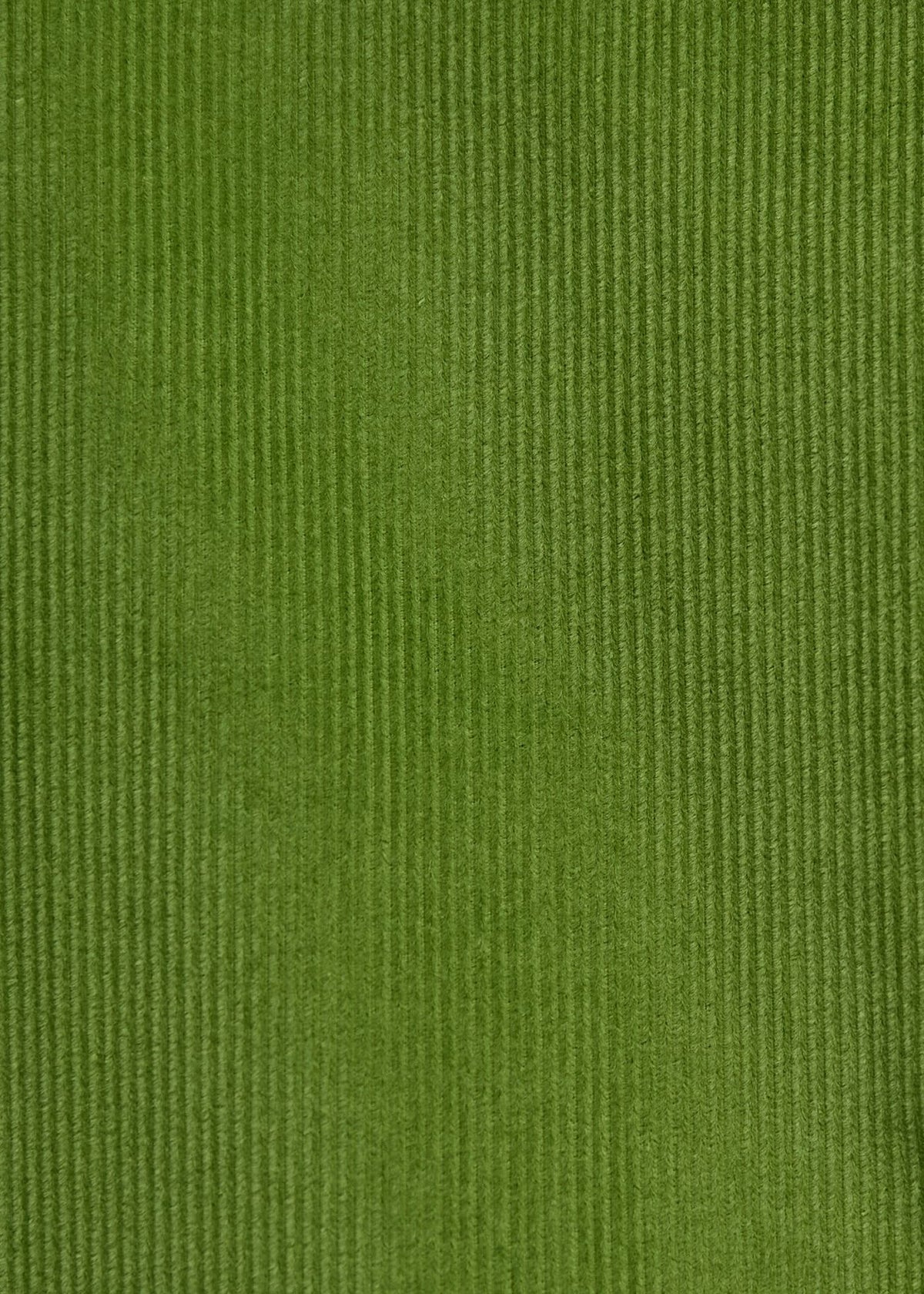 Drawstring Corduroy Pant Grass - Paul Stuart