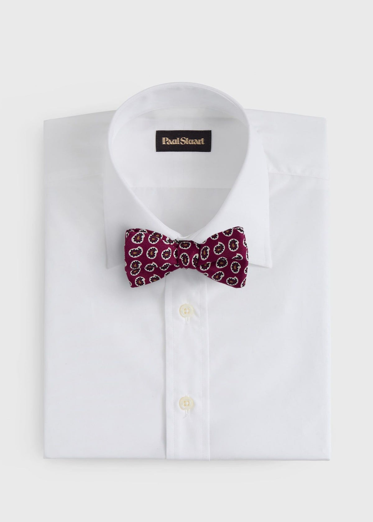 Silk Printed Pine Bow Tie Blue - Paul Stuart