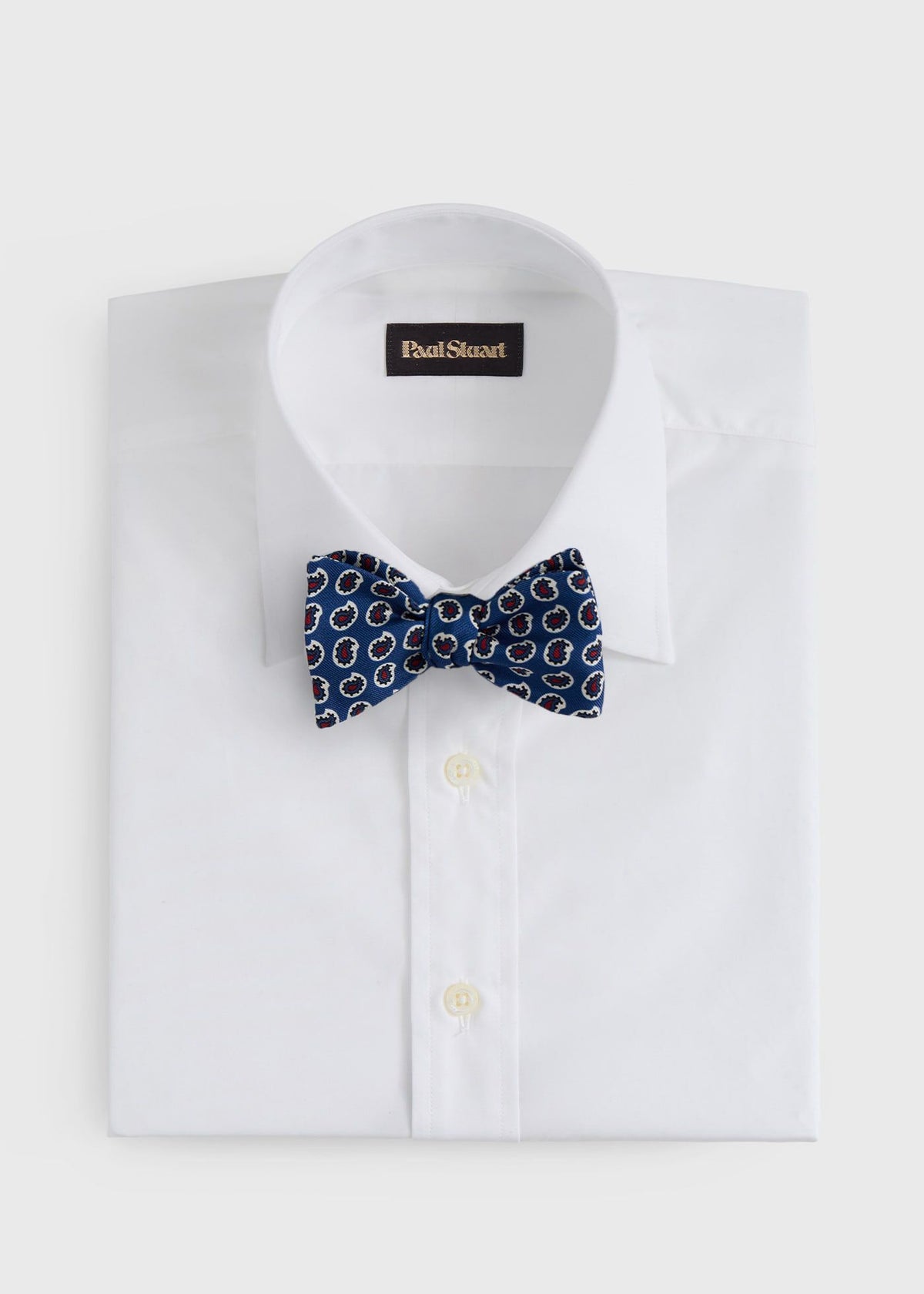 Silk Printed Pine Bow Tie Blue - Paul Stuart