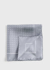 Silver/White